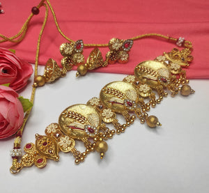 A2 Fashion Gold Plated Polki Choker And Earring Set