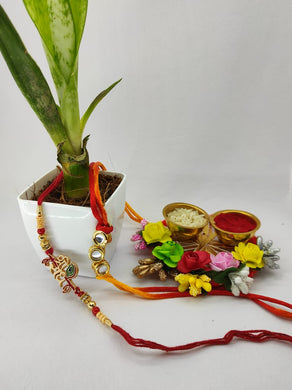 Plant - Rakhi Hamper