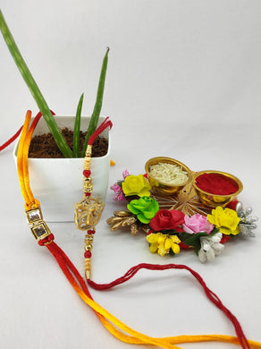 Plant Rakhi Hamper