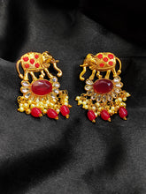 Load image into Gallery viewer, Gold Plated Stone Embellished Earring